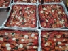 IMG-20190512-WA0005